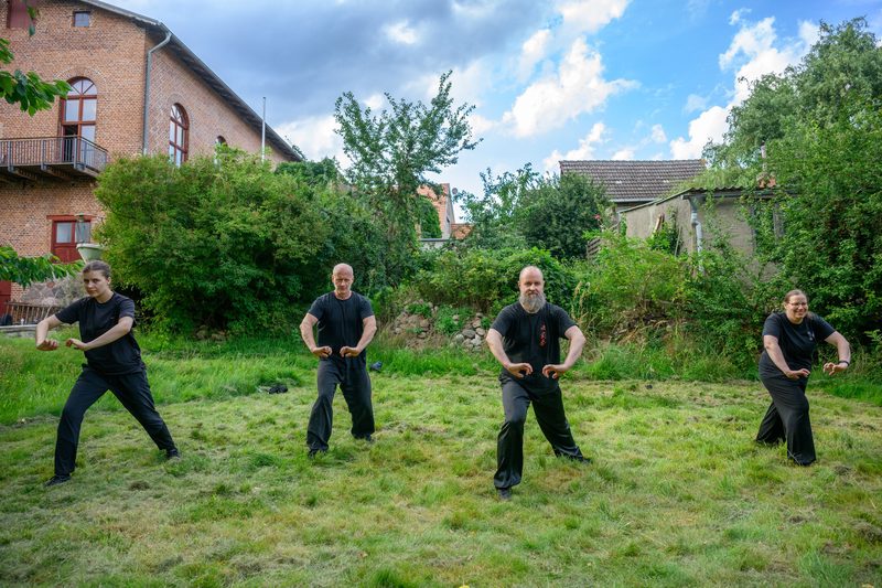 Kampfanwendungen der Tiger-Kranich-Partnerform mit Partnerübungen